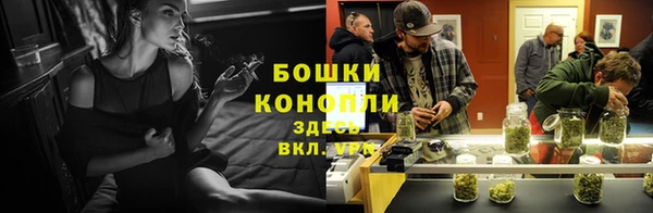 прущие крисы Переславль-Залесский