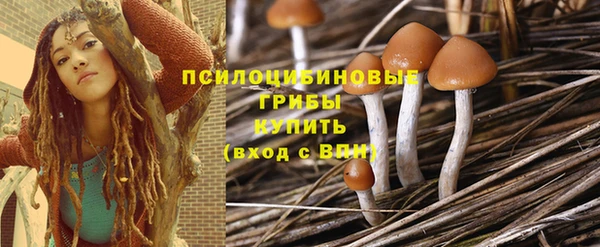 эйфоретик Балахна