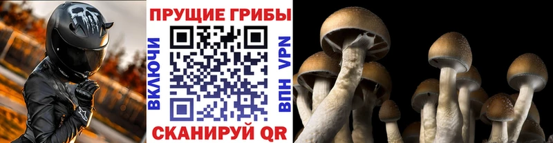 Галлюциногенные грибы Magic Shrooms  Барабинск 