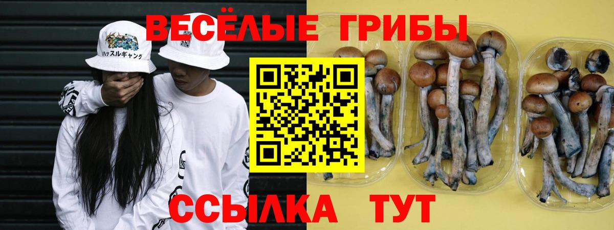 Псилоцибиновые грибы прущие грибы Барабинск
